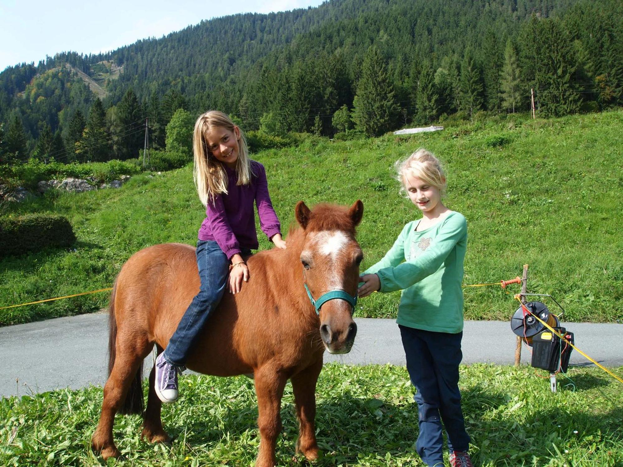 Ferienhof Obergasser Und Bergblick Weissensee Exterior foto